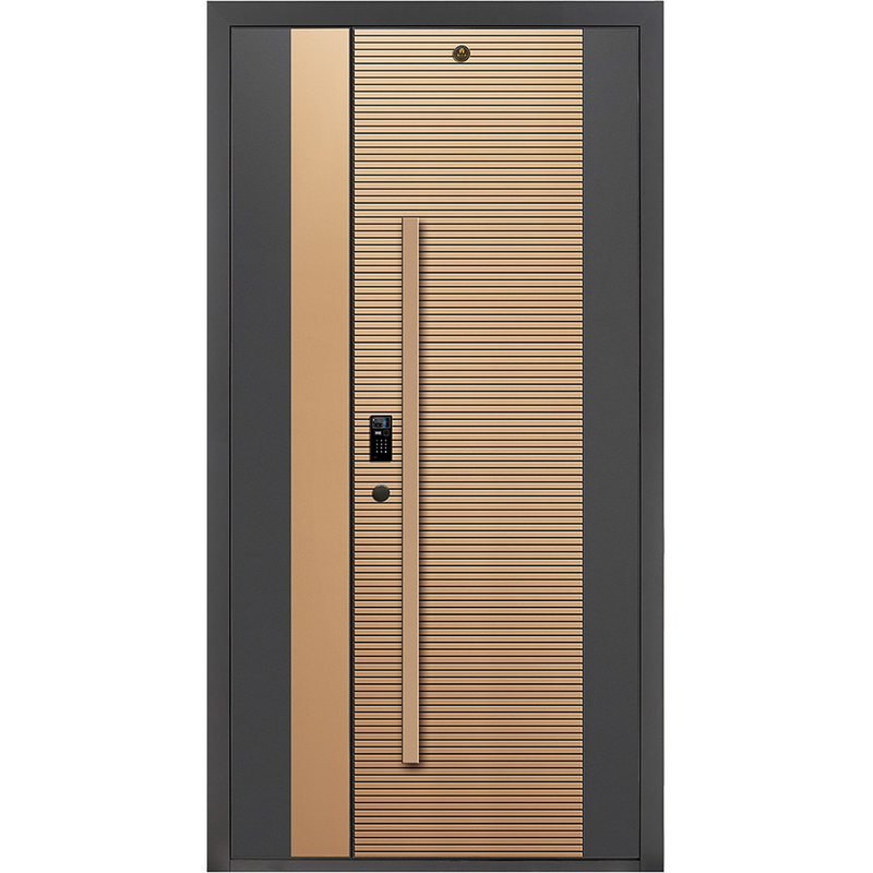 Modern stainless steel pintu masuk pintu eksterior kunci pintar pintu depan untuk pintu rumah